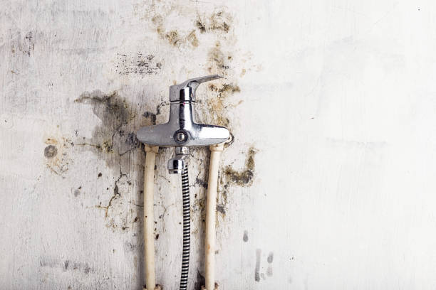 Best Residential Mold Removal  in Chena Ridge, AK