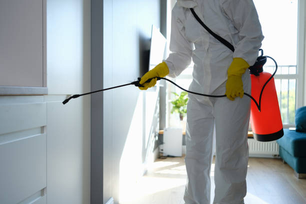 Chena Ridge, AK Mold Removal Company
