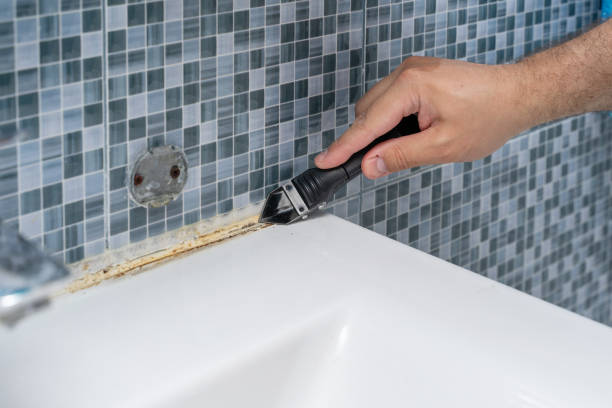 Mold Removal Process in Chena Ridge, AK