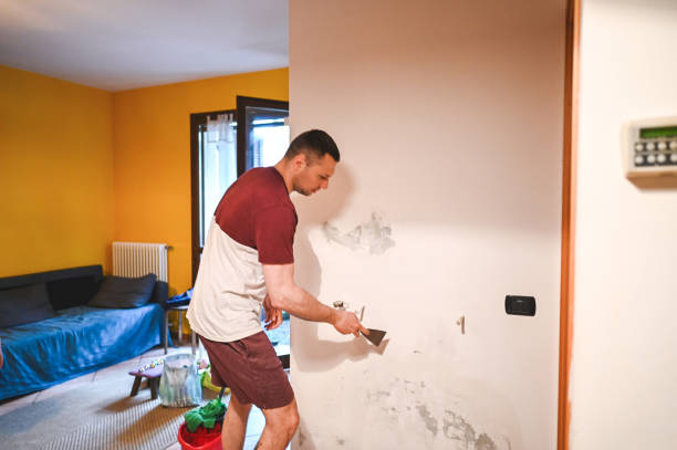 Best Attic Mold Removal  in Chena Ridge, AK